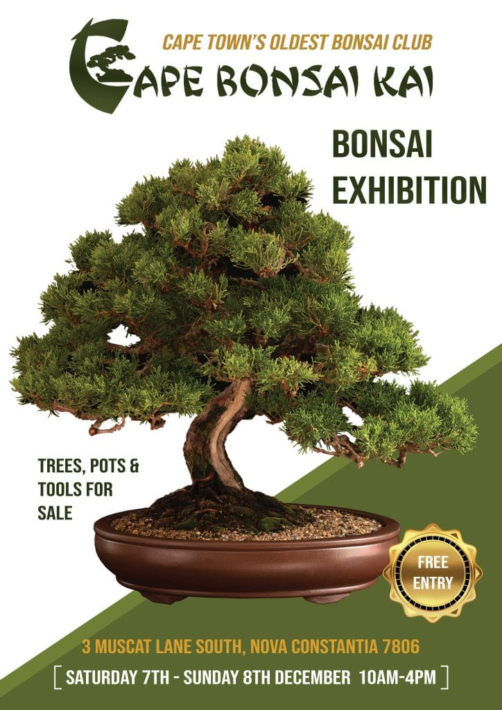 Cape Bonsai Kai Show 2024